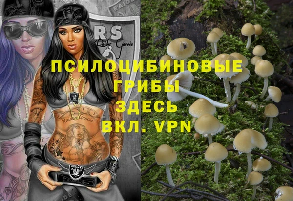 амф Балахна