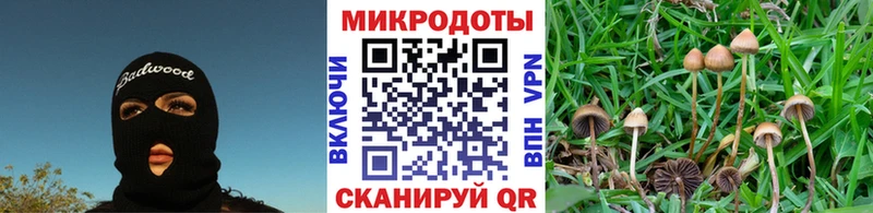 купить наркоту  Омутнинск  Псилоцибиновые грибы MAGIC MUSHROOMS 
